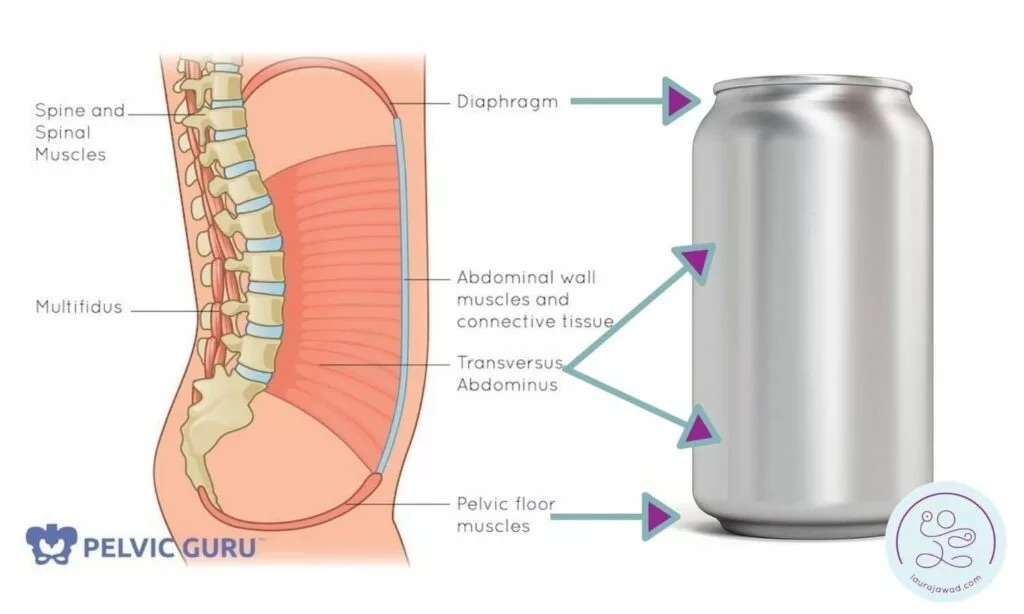 Demystifying “The Core”: Why It’s Way More Than a Six-Pack